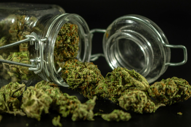 High-quality cannabis buds in a storage jar at MK'S Cure It With Cannabis, a Medical Cannabis Dispensary in Lebanon, OK.